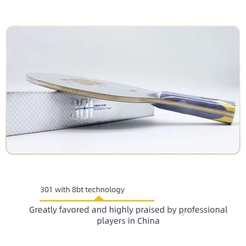 Pala de Tenis de Mesa DHS Hurr - Table Tennis Blades reseña y precio