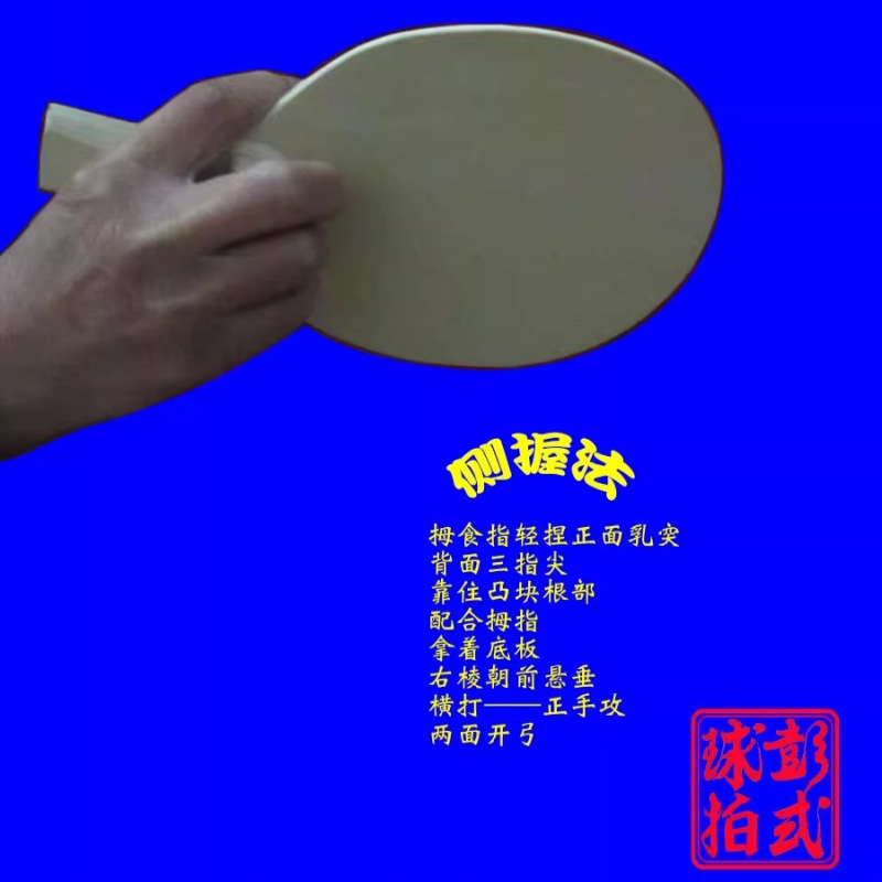 Raquetas de tenis de mesa de e - Table Tennis Umpire reseña y precio