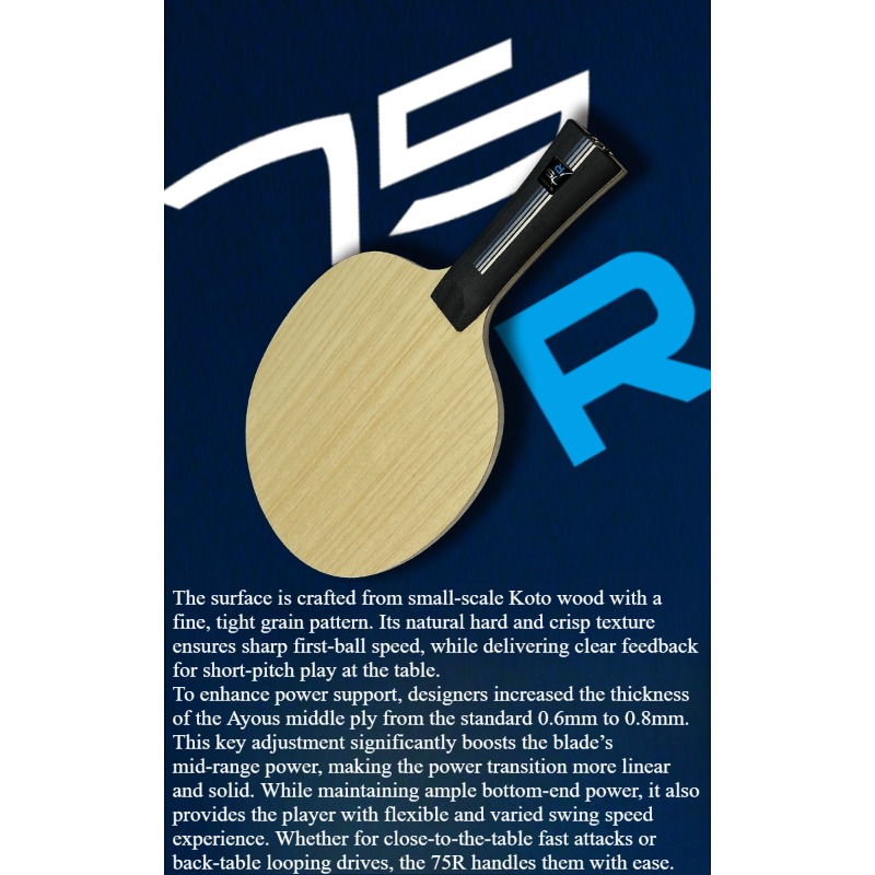 SANWEI 75R 5+2 Outer H-GLC, Pa - Table Tennis Blades reseña y precio